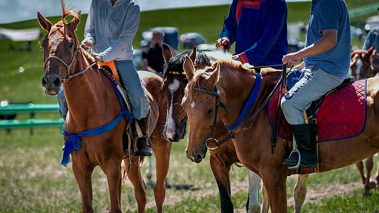 内蒙古那达慕蒙古族骑手高清图片