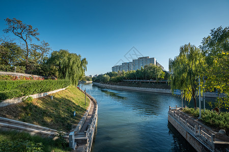 春天的北京玉渊潭美景背景图片