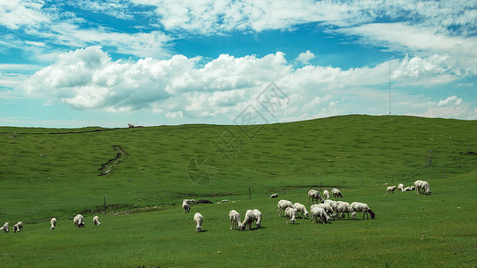 绿草边框内蒙古希拉穆仁草原夏季风光背景