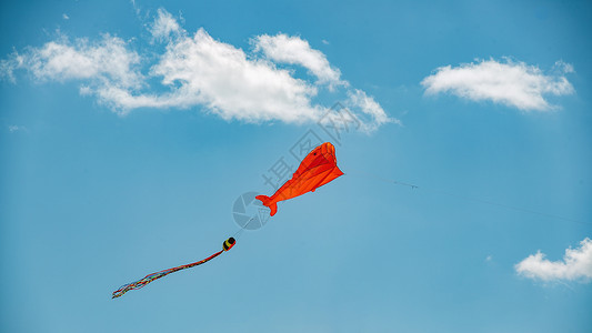 风筝文化节春季风筝蓝天白云背景