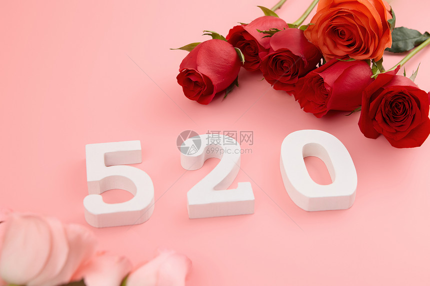 520红粉玫瑰对放粉色系壁纸图片