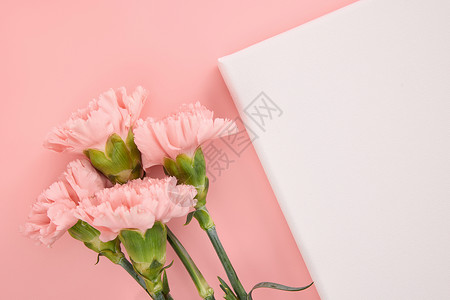 斜跨桌面上斜放的粉色康乃馨背景