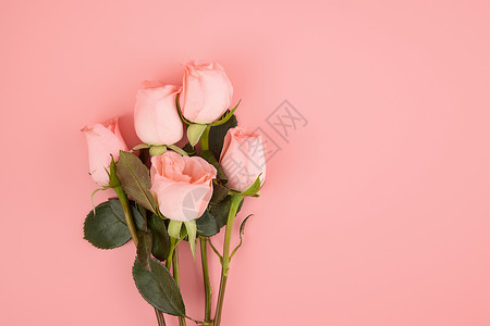 粉色调素材粉色系玫瑰横版壁纸背景