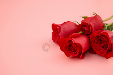 520红色玫瑰花束特写背景图片