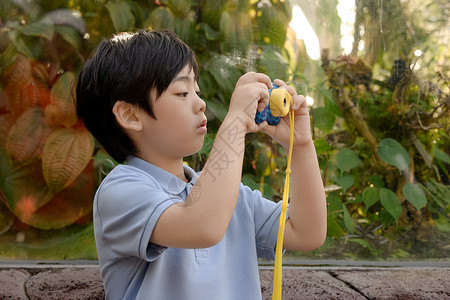 小男孩在植物园用相机拍照背景图片