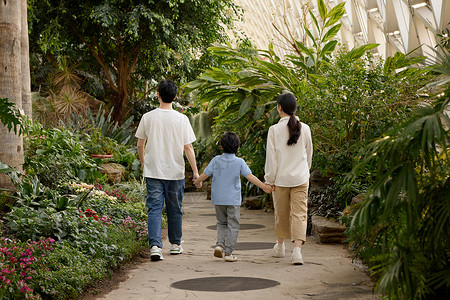 湖南省植物园一家人在植物园参观背景