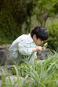 小男孩拿着放大镜蹲在地上观察植物高清图片