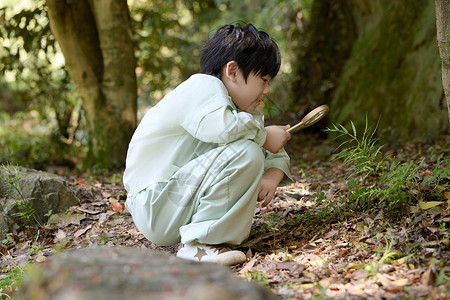小男孩拿着放大镜蹲在地上观察植物高清图片