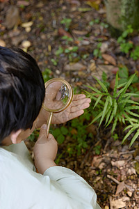 小男孩拿着放大镜蹲在地上观察植物高清图片