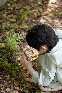 小男孩拿着放大镜蹲在地上观察植物高清图片