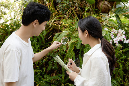 植物园里认真探讨植物的青年高清图片