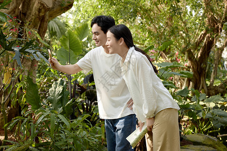 植物园里仔细观察的年轻情侣高清图片