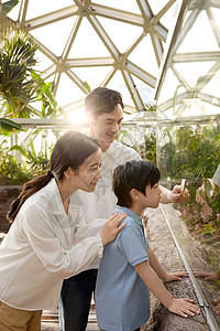 科普宣教植物园里的一家三口背景