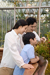 绿色年轻陪孩子参观植物园的年轻父母背景