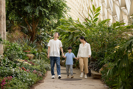 儿童绿色一家三口手牵手逛植物园背景