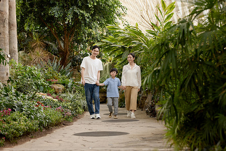 被父母牵着逛植物园的小男孩高清图片