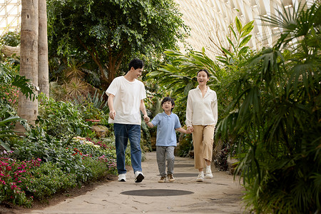逛欢被父母牵着逛植物园的小男孩背景