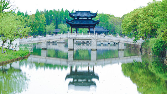 植物与水素材江南园林风光背景