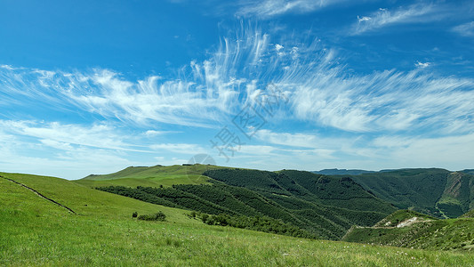 植被景观内蒙古大青山夏季景观背景