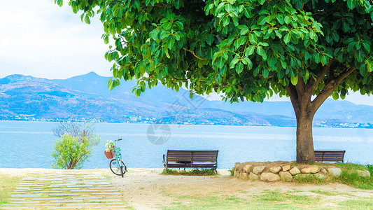 自行车打气大理洱海风光大树和长椅背景