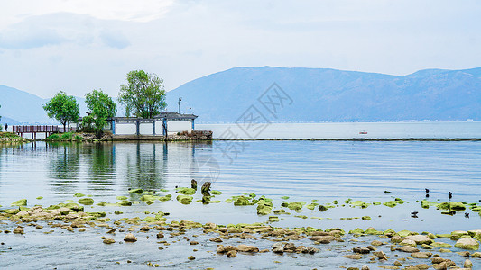 白族图片大理洱海生态廊道风光背景