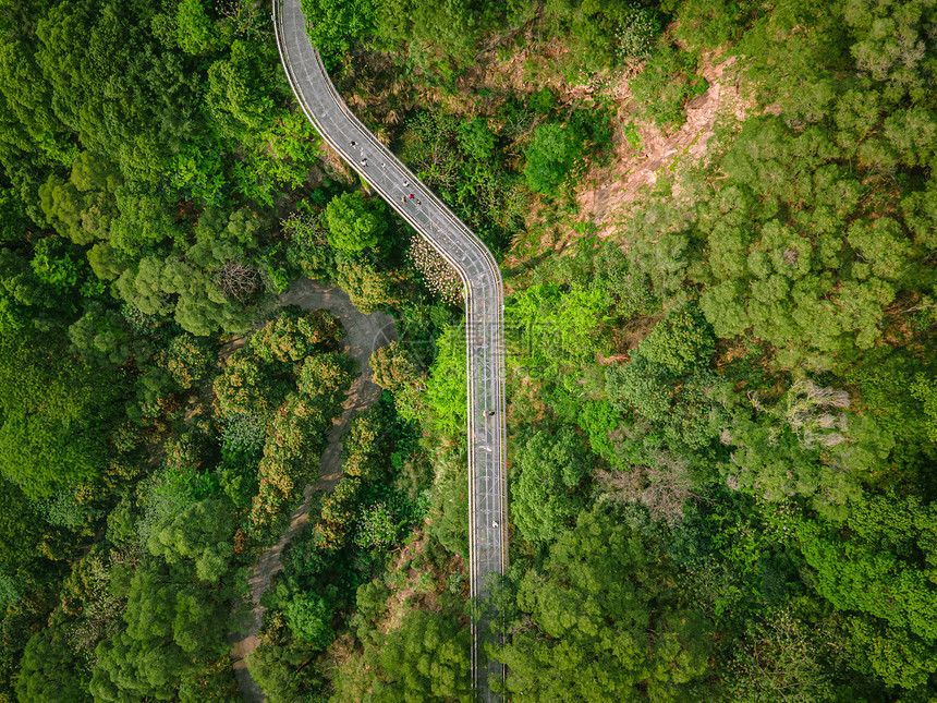 夏季重庆巫山森林盘山公路图片