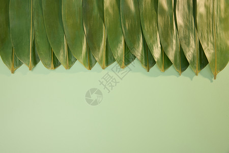 国潮风端午节背景绿色背景下的粽叶背景