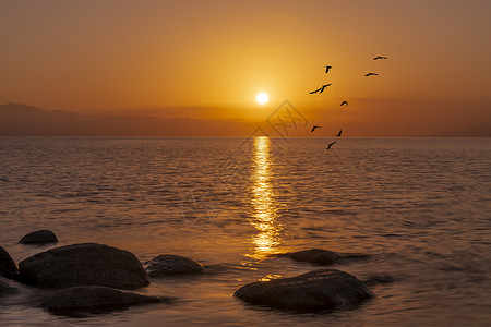 太阳湖新疆赛里木湖日出背景