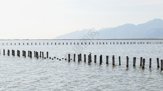 黄河风情线内蒙古黄河大峡谷夏季景观背景