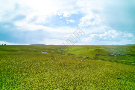 同样地甘肃美仁大草原背景