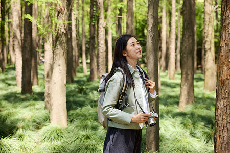 绿色景美女在森林里欣赏美景背景