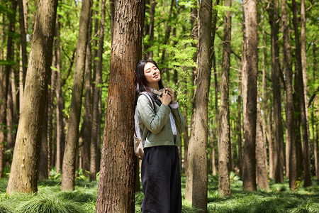 森林中美景美女在森林里欣赏美景背景