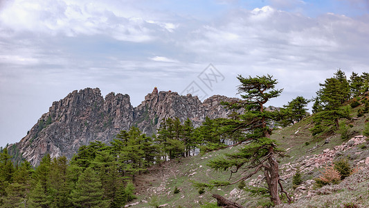 山西宁武芦芽山夏季风光背景图片