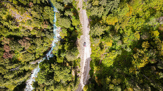 兰察墨脱森林公路自驾航拍背景