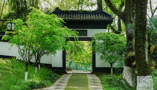 夏至森林江南园林亭林园夏日风光背景