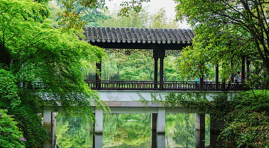 古典纹样江南园林亭林园夏日风光背景