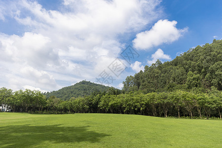 夏天蓝色绿化城市公园草地高清图片