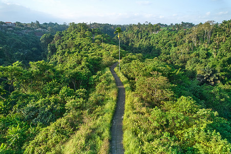 乌布杜斯乌布山顶徒步道路航拍背景