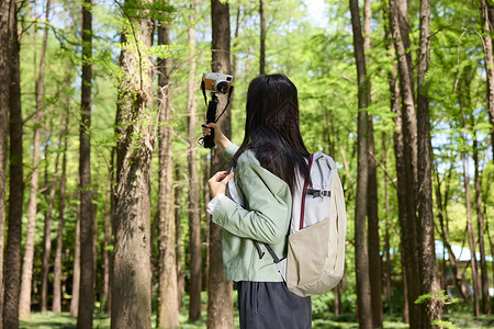 森林公园里自怕的美女背影高清图片