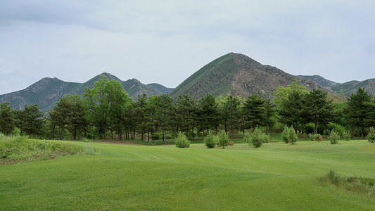 伟内蒙古生态公园夏季景观背景