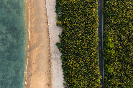 航拍海南博鳌红石滩海边椰林公路高清图片