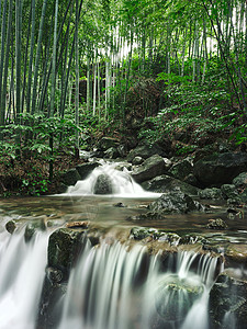 雨季安吉山间竹林水流瀑布图片