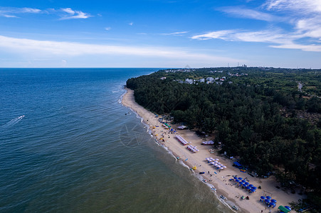 夏天海边海岸线图片