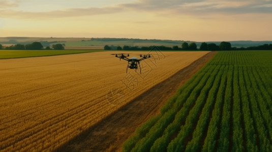 高效智能一架无人机在农田上空盘旋背景