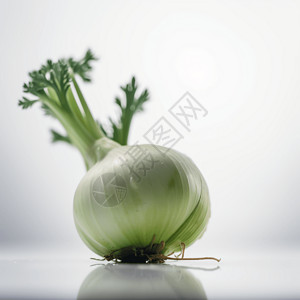 静置的蔬菜背景图片