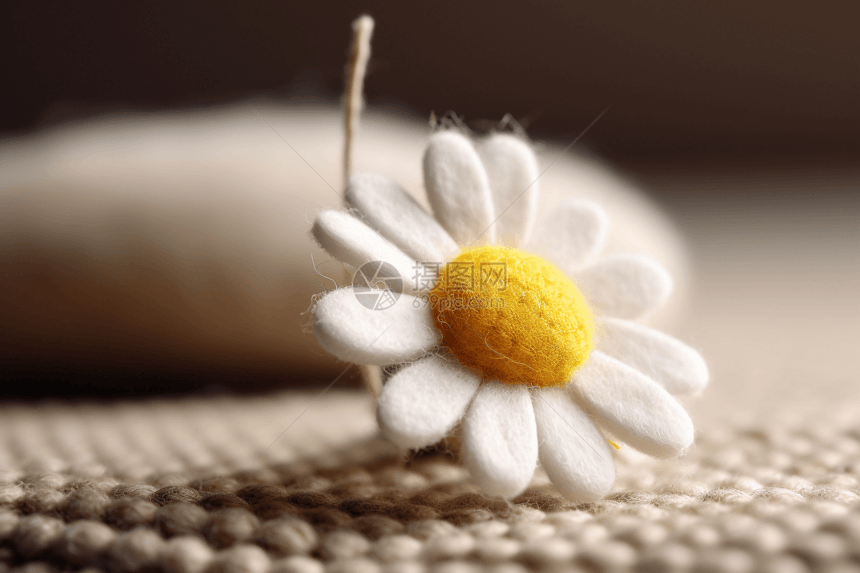 羊毛毡雏菊花朵图片
