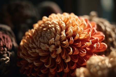 手作毛毡菊花背景图片