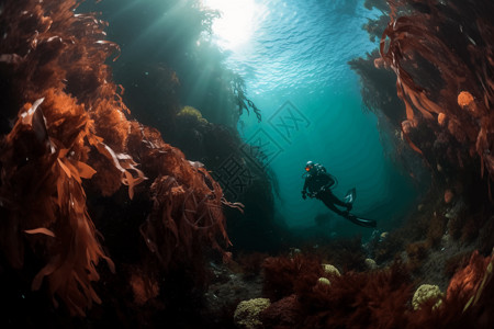 深海海藻潜水员图片设计图片