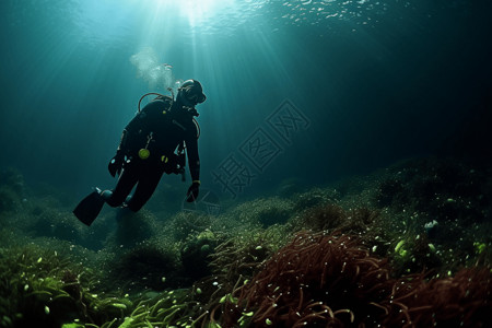 深海海藻微观潜水员设计图片
