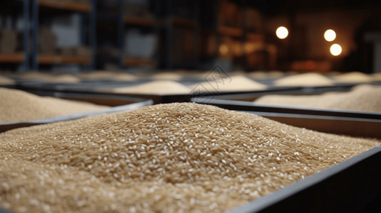水稻出口市场高清图片